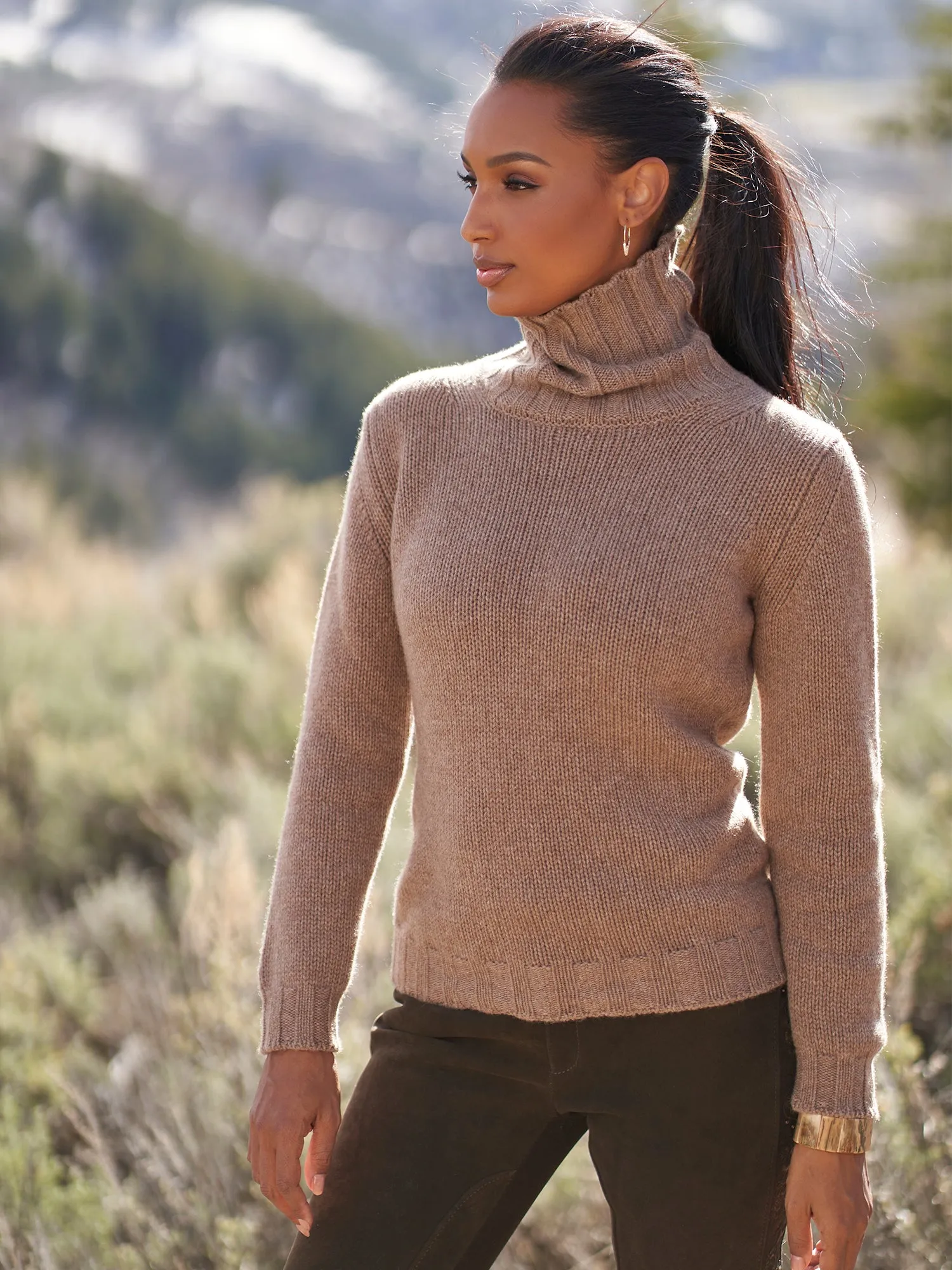 Alberti Cashmere Turtleneck Sweater