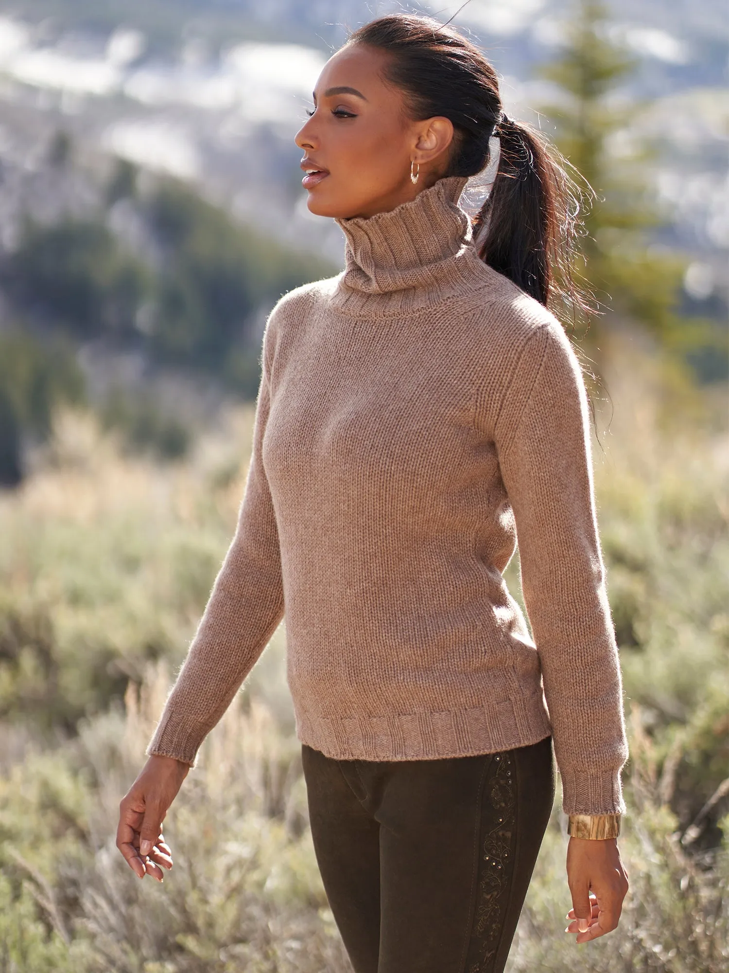 Alberti Cashmere Turtleneck Sweater