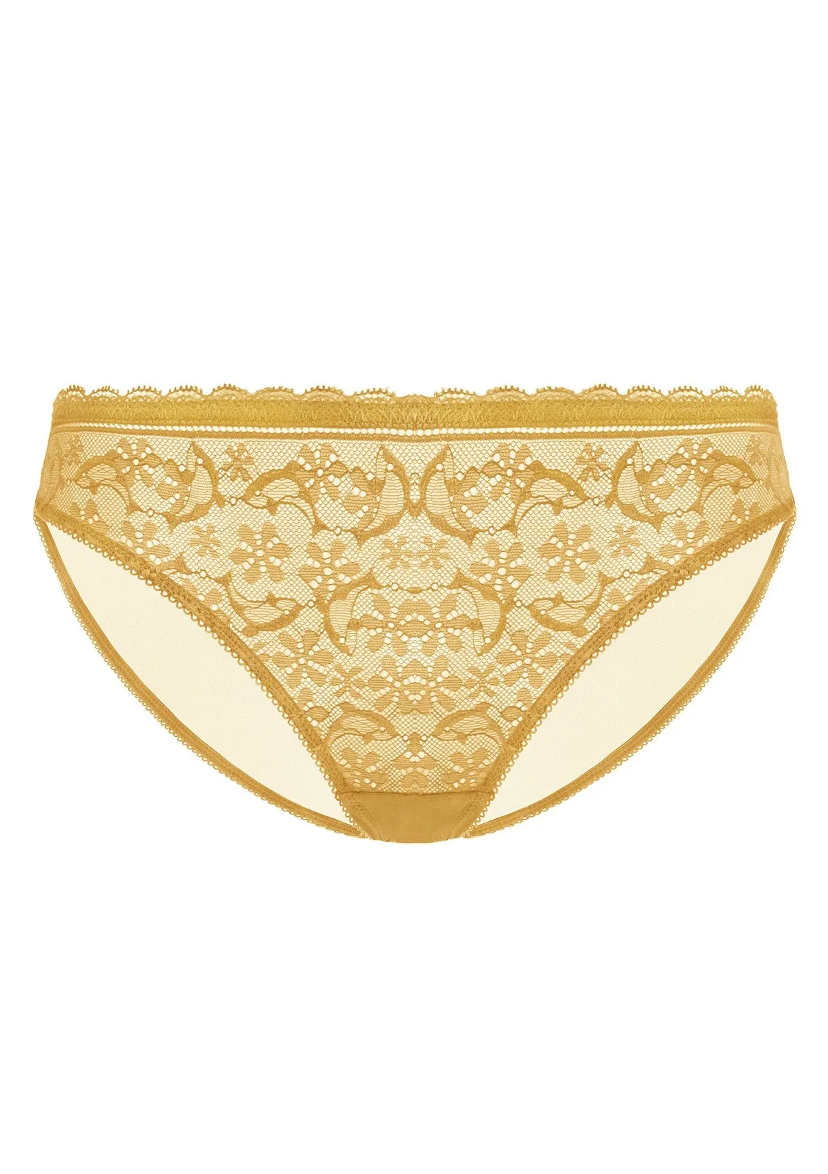 Anemone Lace Dolphin Mid-low Rise Ginger Bikini Underwear