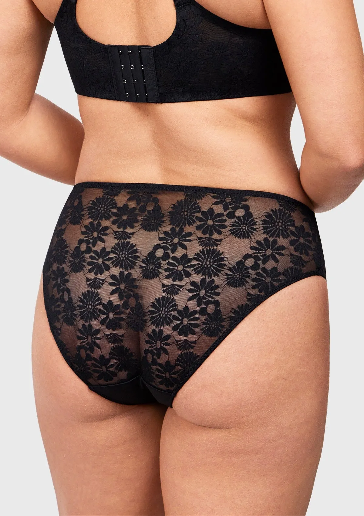 Daisy Smooth Lace High-Rise Mesh Lace Back Brief Underwear