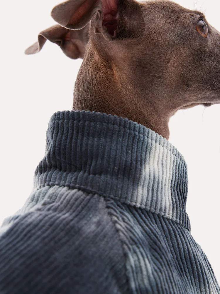 Dog Sweatshirt - KNOWZA