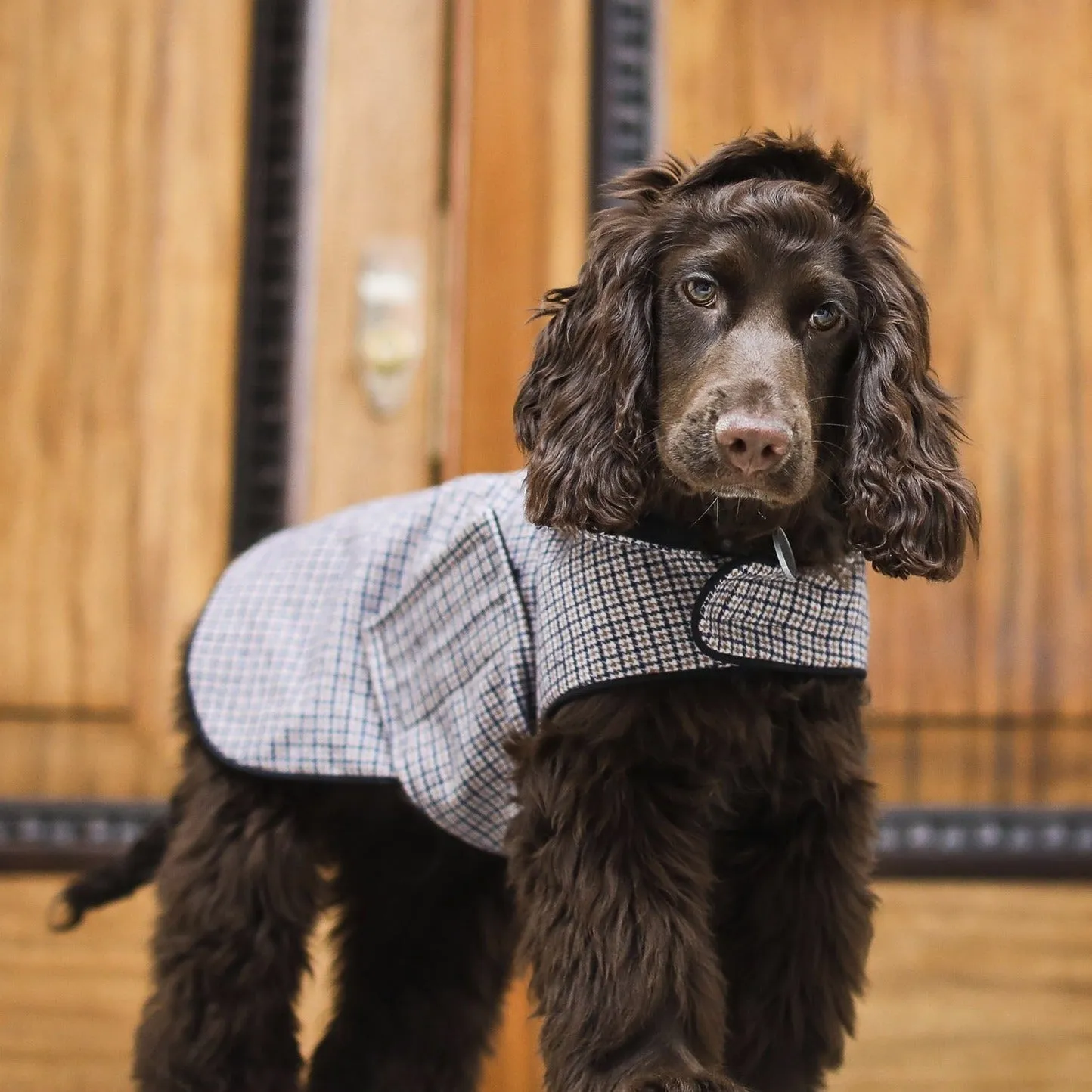 Houndstooth Hooded Coat