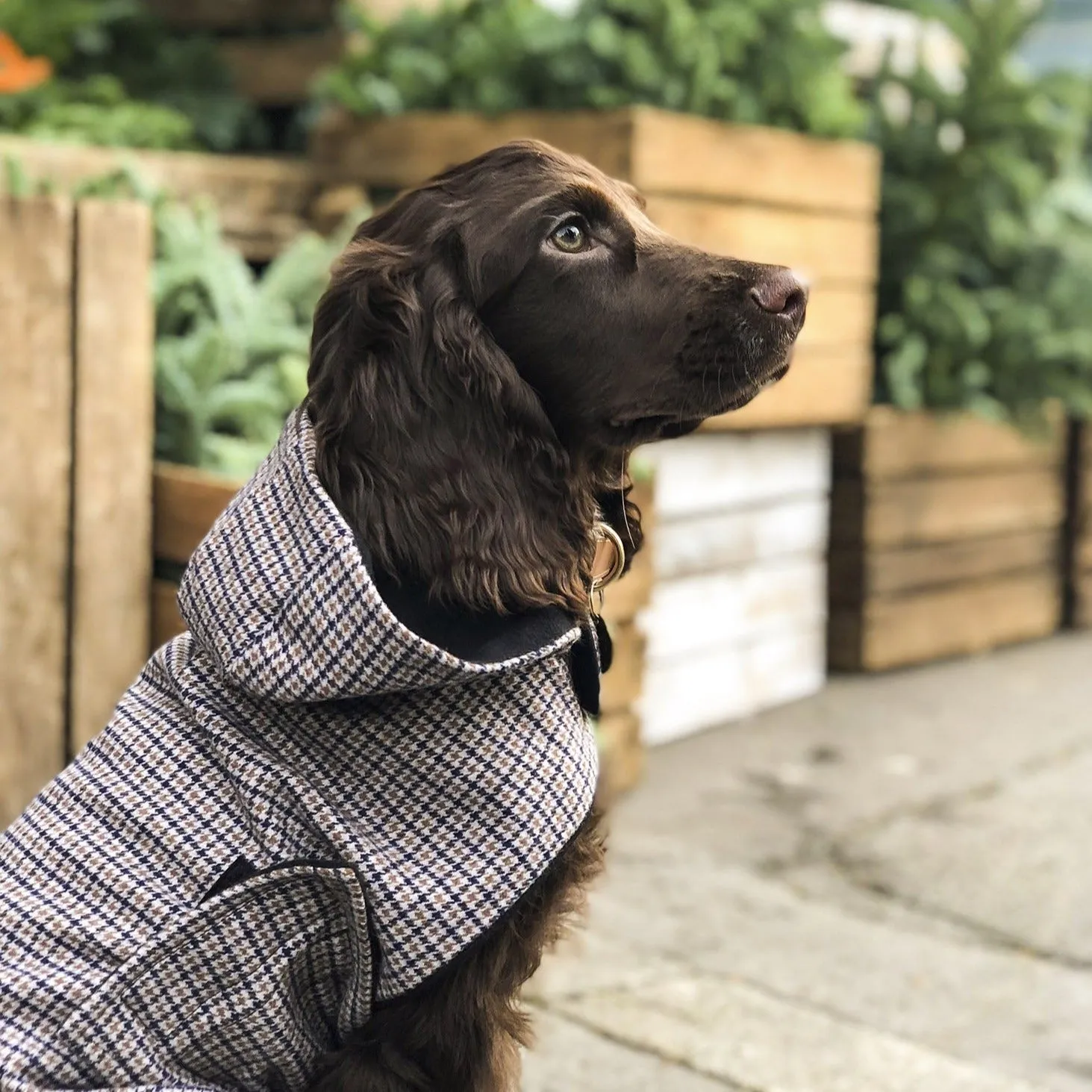 Houndstooth Hooded Coat