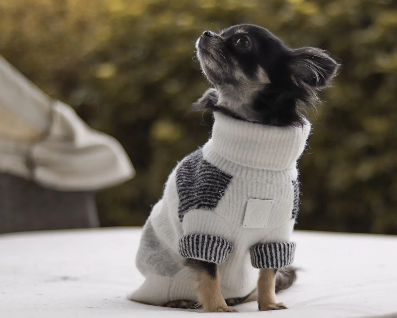 Turtleneck contrast stripe Jumper