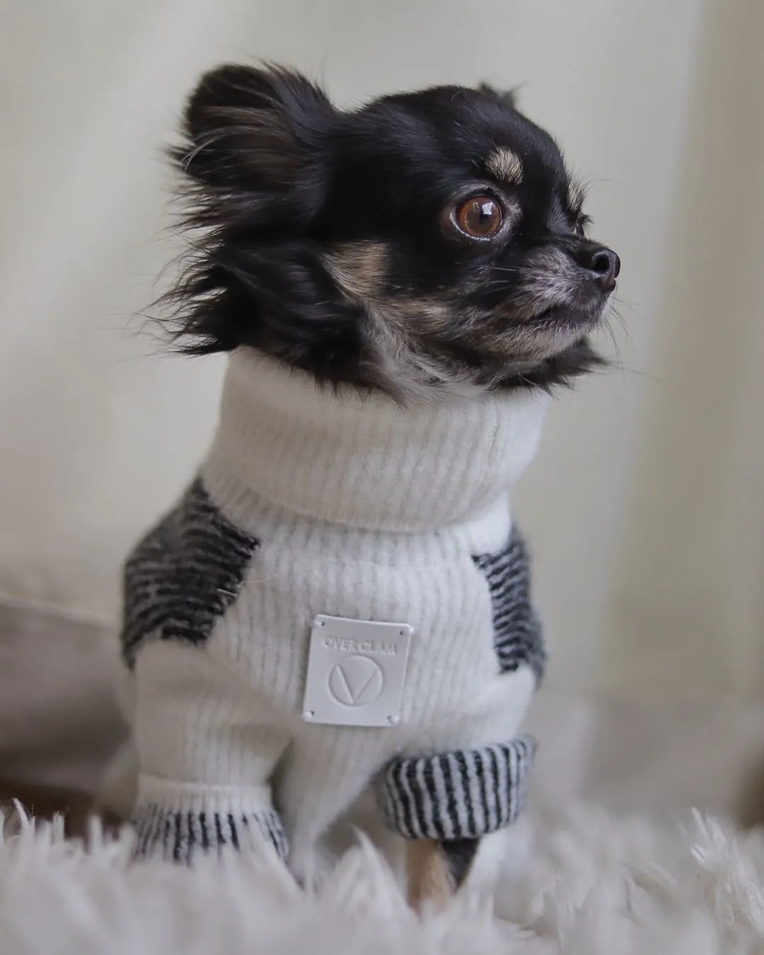 Turtleneck contrast stripe Jumper