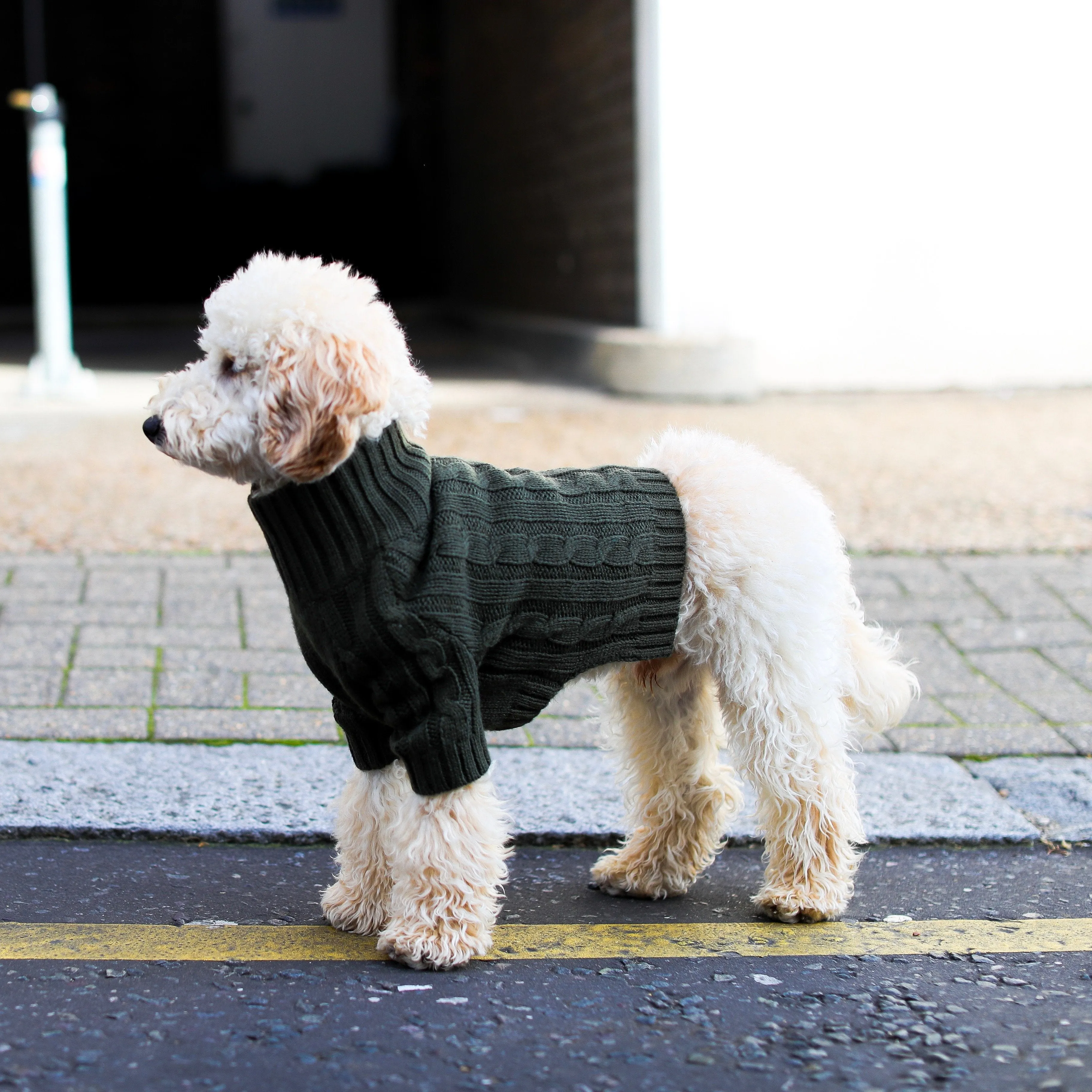 Turtleneck Knitwear