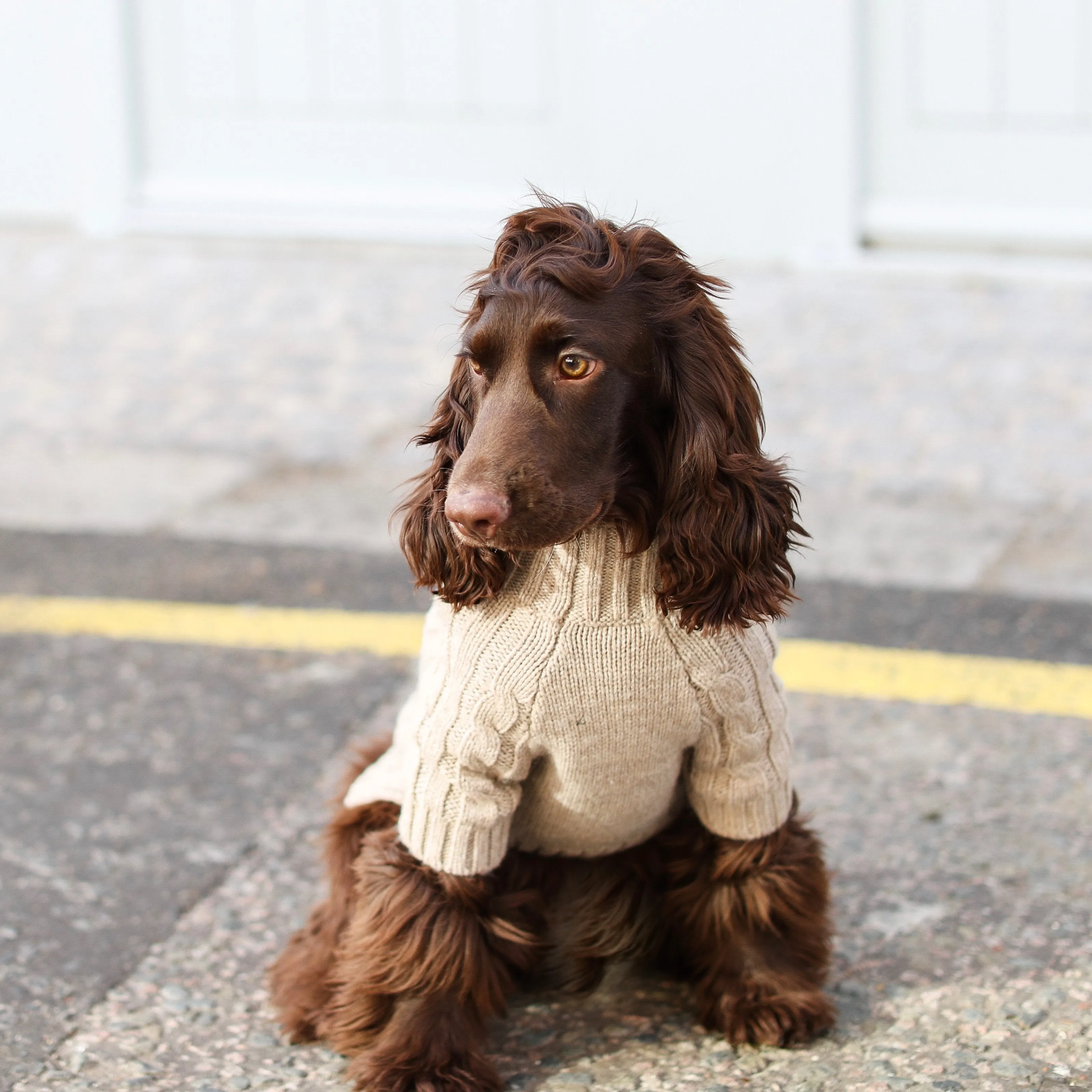 Turtleneck Knitwear